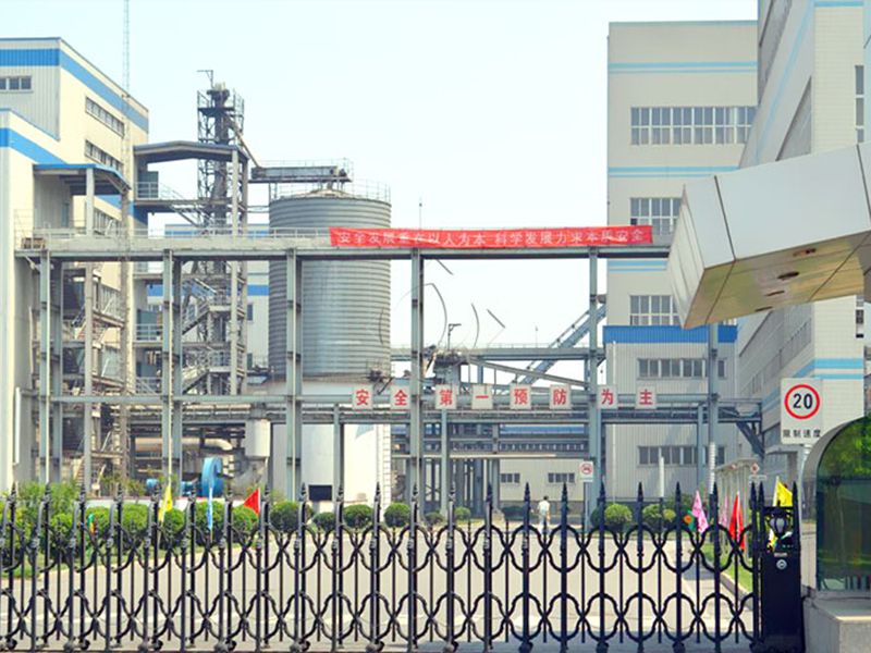 葵花籽榨油设备